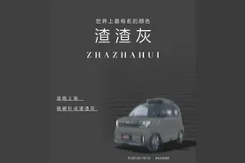渣渣灰、东北银、螺蛳粉，五菱汽车重新定义颜色图片