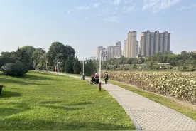 41 get小技能：去掉word文件中的虚小方块？图片