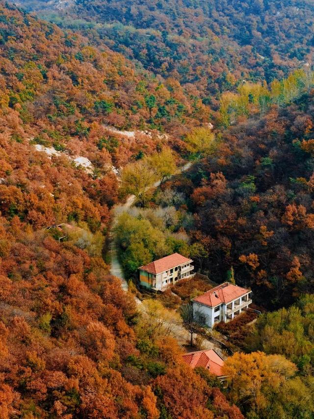 目测要火！烟台这座小城最近好看得离谱