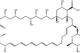 两性霉素 B | 1397-89-3 | 瑞威尔生物科技图片