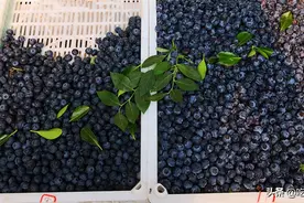 建议：不管有钱没钱，入夏后这6种水果多给孩子吃，既营养又解馋图片