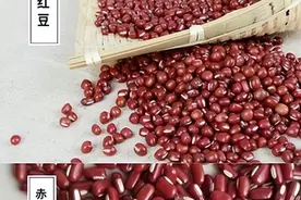 霍思燕喝红豆薏仁水一周掉4.5斤！消水肿、美容养颜又可以减肥图片