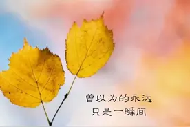 山水一程，已经是三生有幸。图片