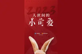 兔年说“兔”图片