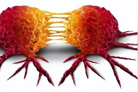 癌症能从一个人传到另一个人吗？这些案例可能颠覆你的认知图片