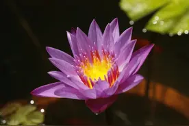 觉知是第一步也是最后一步图片