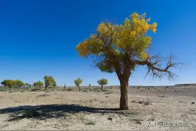 QDII基金引领全球资产配置——一文看懂QDII全分类图片