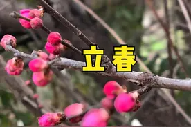 “春打六九头，吃穿都不愁”，2022年立春在五九尾还是六九头？图片