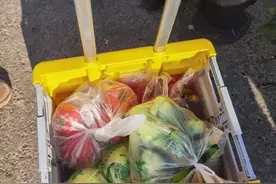 传统菜市场落幕了？生鲜电商崛起，还能买到5块钱3把的青菜吗？图片