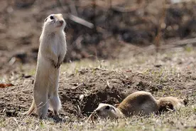 过去的年代有多苦？图片