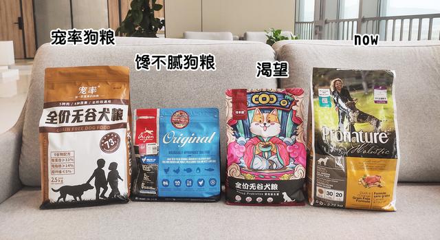 被“宠着长大”的狗,这几个特征很明显
