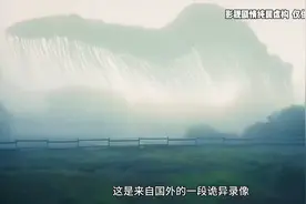 国外男子意外拍到天空中不明生物，体型巨大#不明生物图片