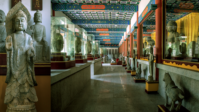 “龙”游诸城，诸事皆成