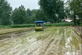 飞速插秧！一亩田10分钟……图片