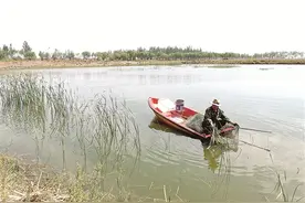 肉案子！奶瓶子！菜篮子！油罐子！包头明沙淖乡打造绿色农畜产品输出地图片