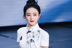 春晚明星穿搭价位曝光：杨紫珠宝价值百万，沈腾老头衫才刚过百元图片