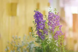 63岁退休阿姨倾诉：帮女儿家带娃，不是无事可做，而是爱的传递图片