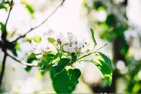 成语分享：字斟句酌图片