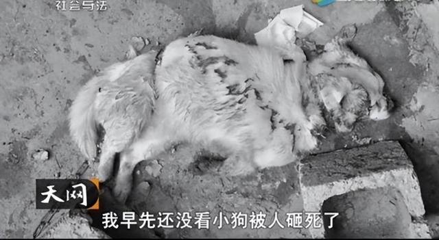 新婚妻子被4人轮奸8小时，胁迫丈夫目睹全程，最后双双殒命