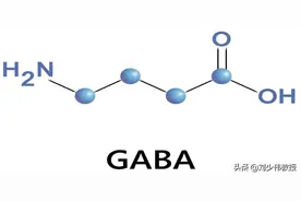 GABA到底是什么？图片