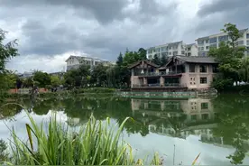 近千人围观！历时4天！这个小区抽干湖水捕捞鳄雀鳝图片