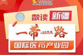 数读新疆“一带一路”国际医药产业园图片