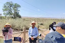 八步沙治沙人：困难面前不低头，敢把沙漠变绿洲图片