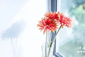 当你想通了，人生就顺了图片
