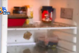 委托“链家”出租房子 打开冰箱“密集恐惧”图片