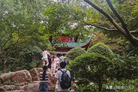 爱晚亭堪称网红打卡地，旁边还有一座放鹤亭，你知道其来历吗？图片