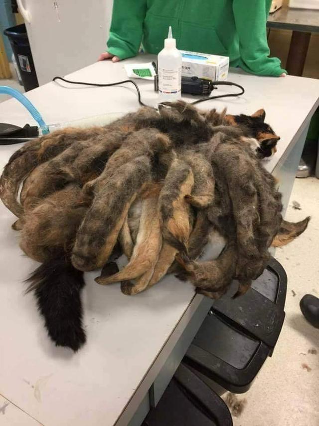 盘点那些传播全球诡异照片的背后"真相"(世界著名的十大灵异照片)
