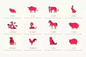 不会用英文聊十二生肖？看完这些你就全懂了！果断收藏图片