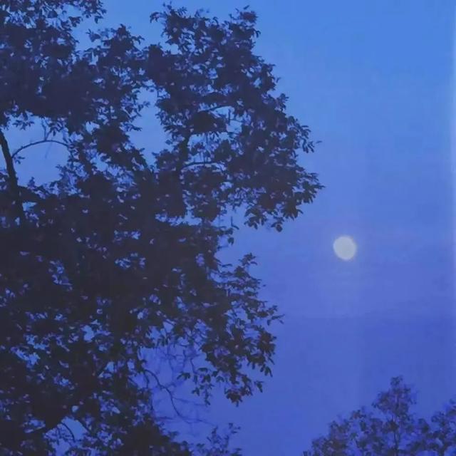 �İ� | �ʺϷ������Ƭ�������Ȧ�İ�