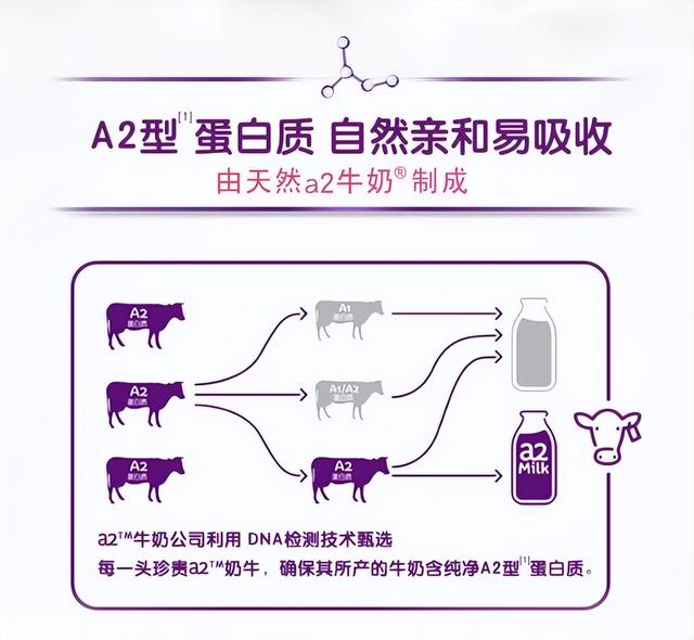 怀孕要喝孕妇奶粉吗？3类孕妈不能喝，3类孕妈喝了才对胎儿发育好