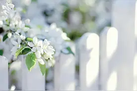 人品差的人，开口闭口都是这几句话，一定不要深交图片