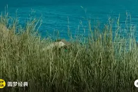 欧美恐怖人形怪物图片