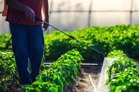 甲草胺、乙草胺、丙草胺、丁草胺、异丙甲草胺的区分方法图片