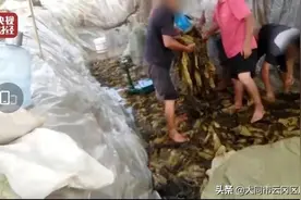 3•15晚会曝光食品黑名单，这些食物不能吃了图片