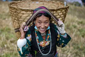 夏尔巴人的新生活图片