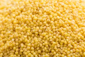 【必学技巧】如何煮出又香又粘稠的小米粥？0难度教你做法！图片