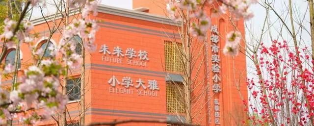除了“五朵金花”，成都各个区还有哪些公办小学值得考察
