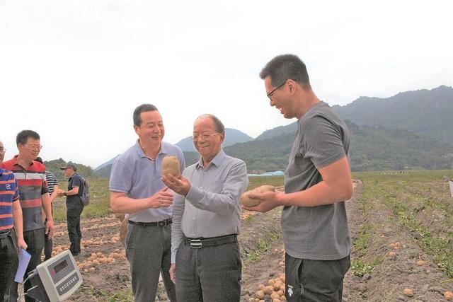 “闽薯家族”喜添新成员