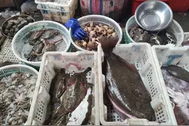 别怕买吃亏：春天吃海鲜，这5种都是无养殖的，可以放心吃敞开买图片