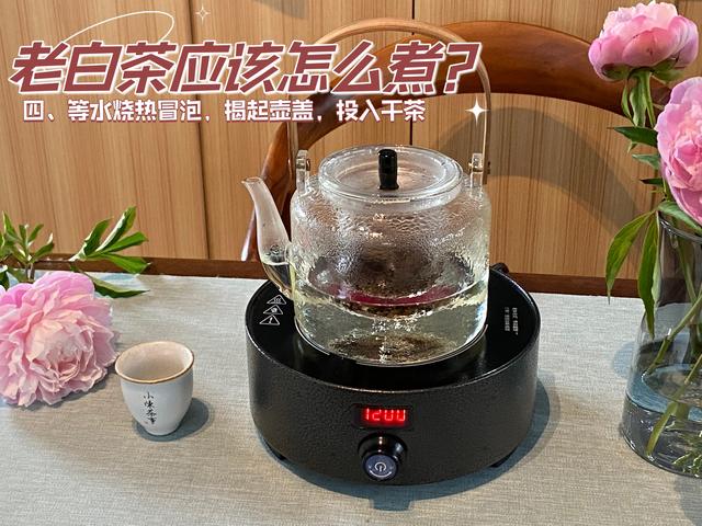 没有炖壶的养生壶怎么煮花胶 2026年没有养生壶怎么煮花茶