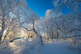 东北，白山黑水多“宝藏” | 我们的绿水青山②图片