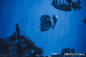 为什么在你发言时紧张的脑子空白，来告诉你该怎么办图片