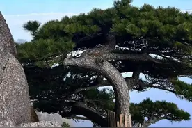 人生感悟图片