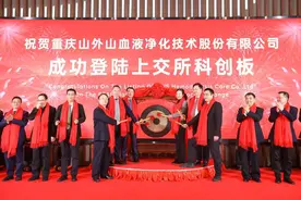 山外山科创板上市破发：公司市值39亿 大健康与华盖信诚是股东图片