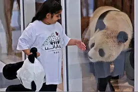 同样是租借大熊猫，为何我们愿意借给卡塔尔，却连拒印度14次？图片