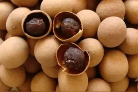 太原市中医医院：厨房里的中药材——龙眼肉（桂圆）图片